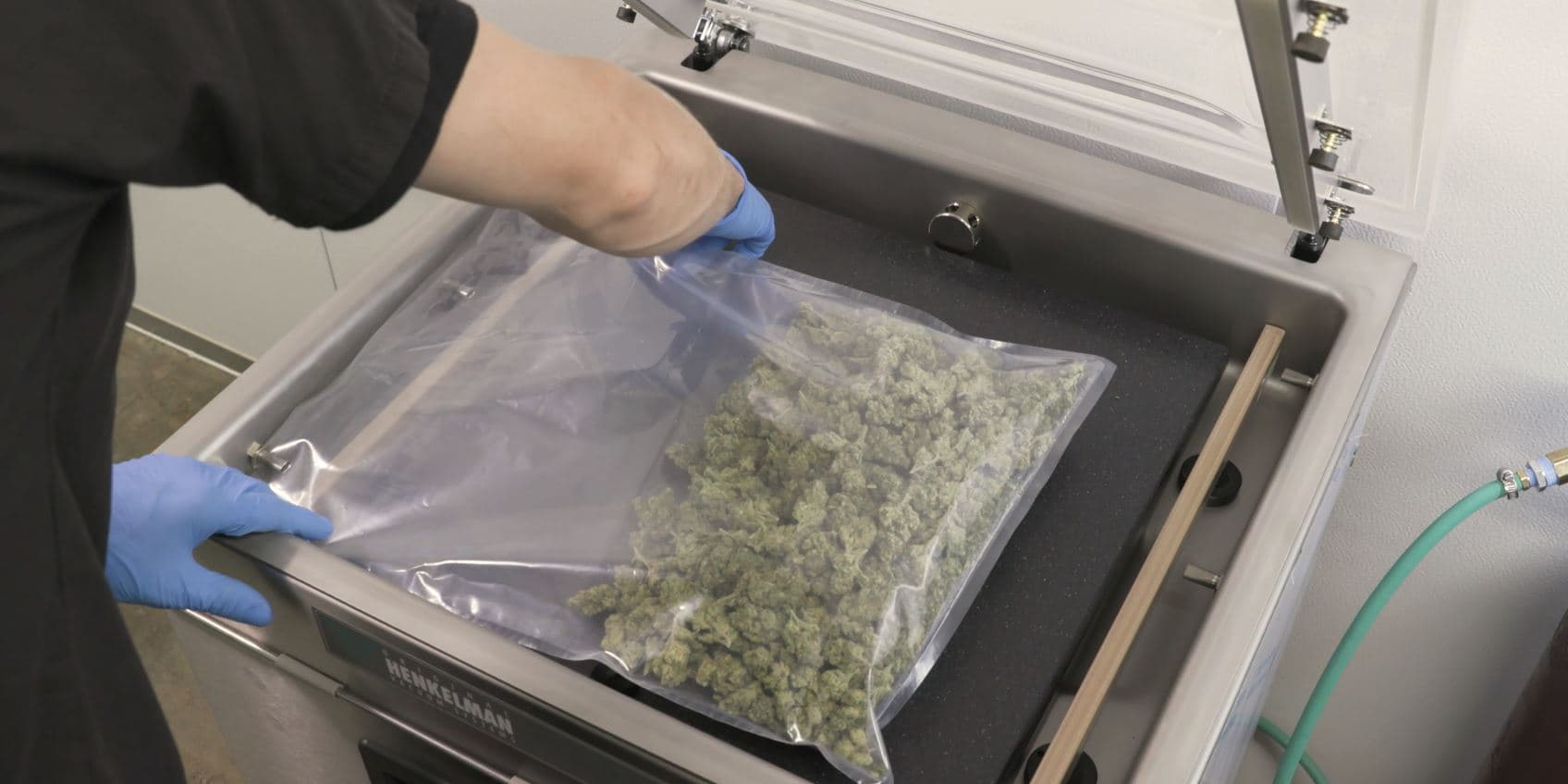 best vacuum seal bags for weed