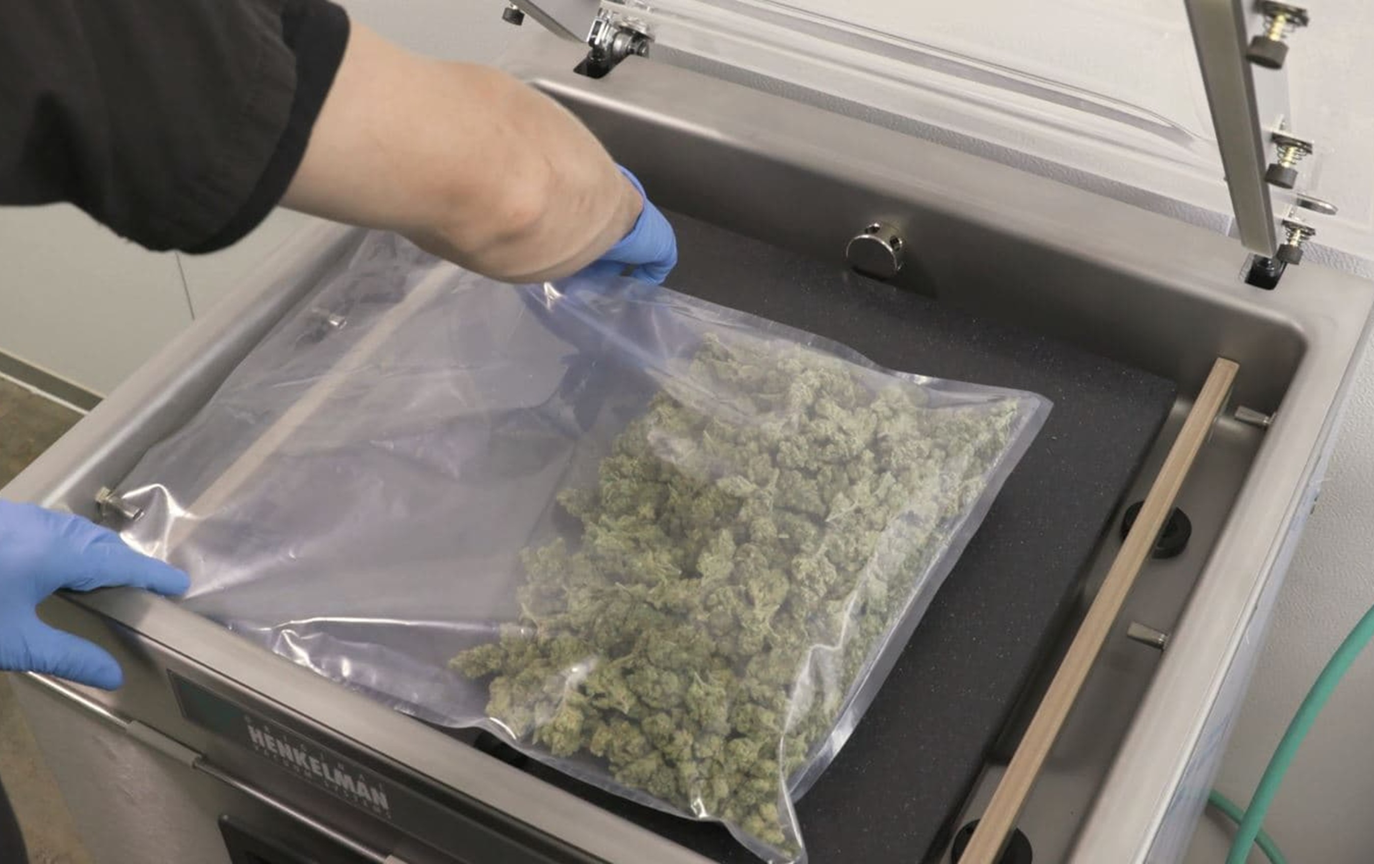 Best way to seal marijuana smell? Pack it in double vacuum-sealed bags